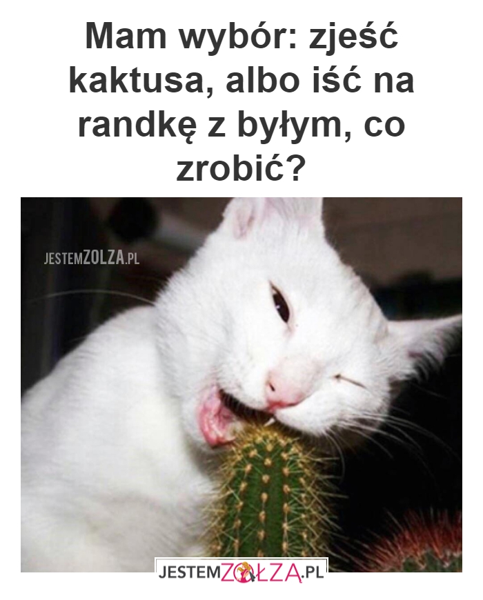 Ten wybór