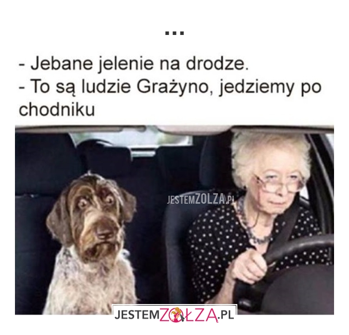 NAJLEPSZY KIEROWCA