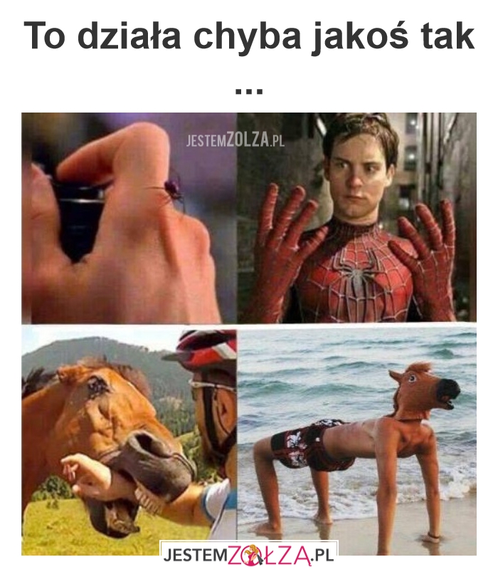Spiderman