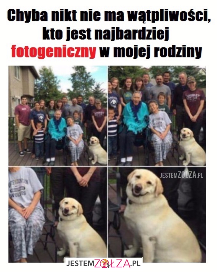 Najbardziej fotogeniczny