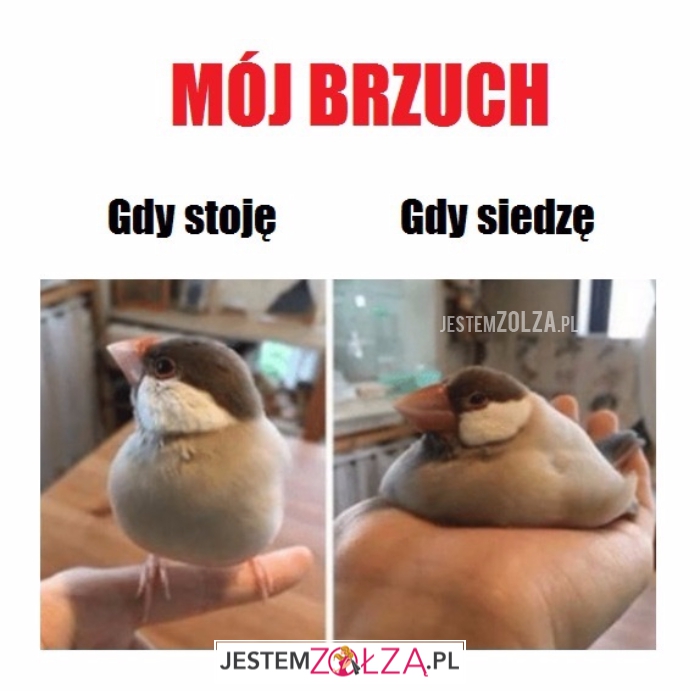 Mój brzuch