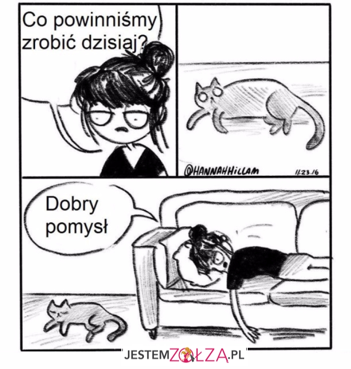 Co robimy dziś?