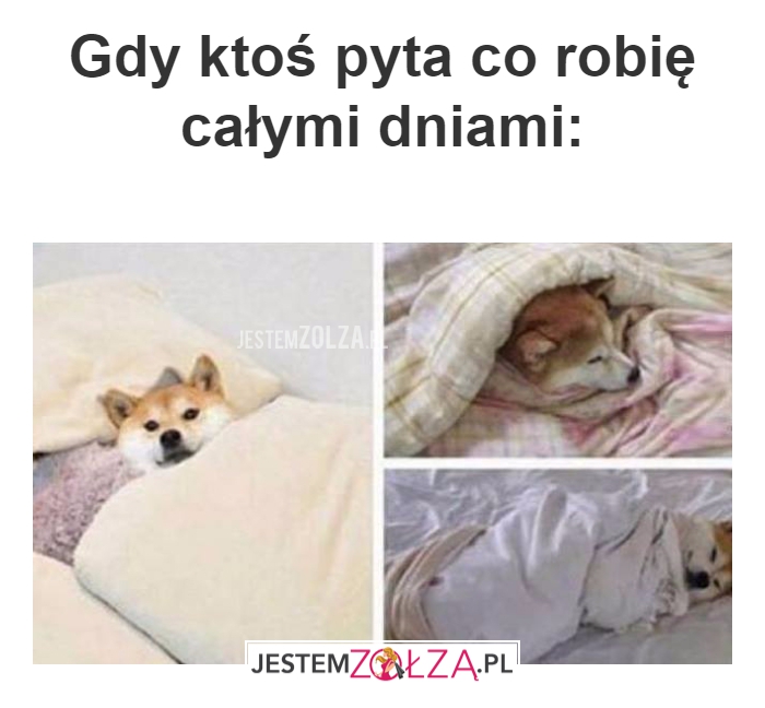 Gdy ktoś pyta 