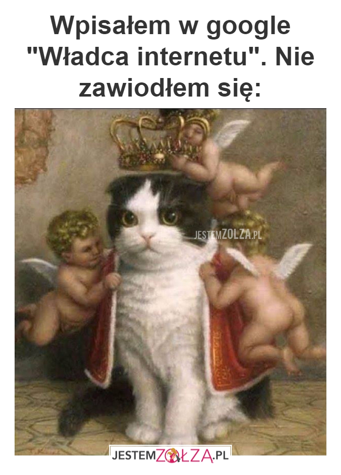 Wpisałem w google 