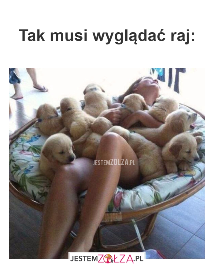 Tak musi 
