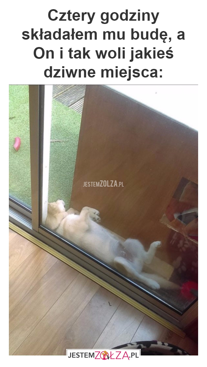 Cztery godziny