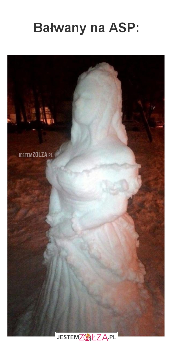 Bałwany na ASP