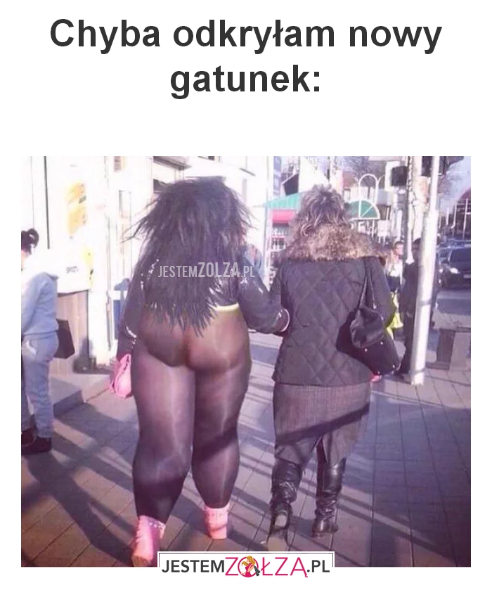 Chyba odkryłam 