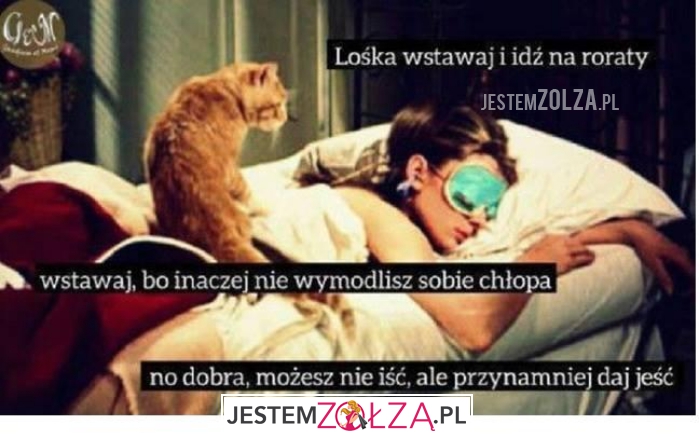 Lośka wstawaj