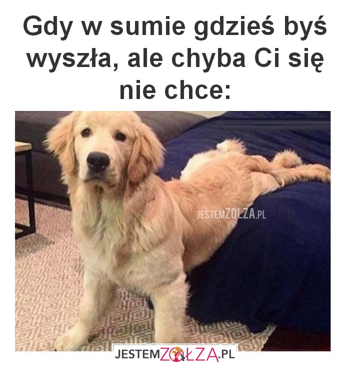 Gdy w sumie