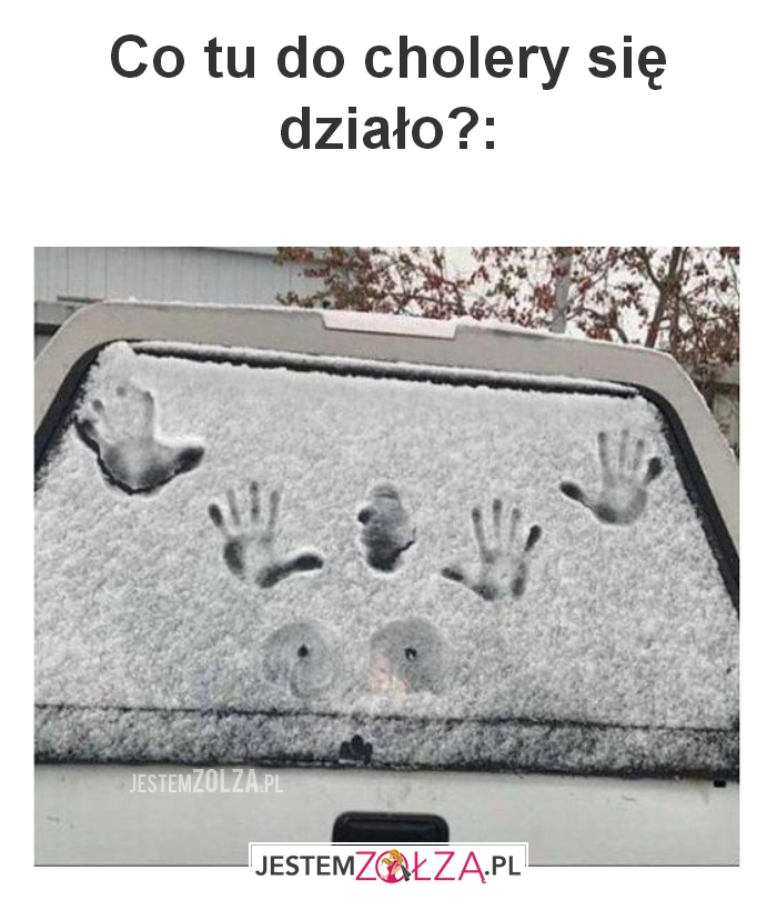 Co tu do 