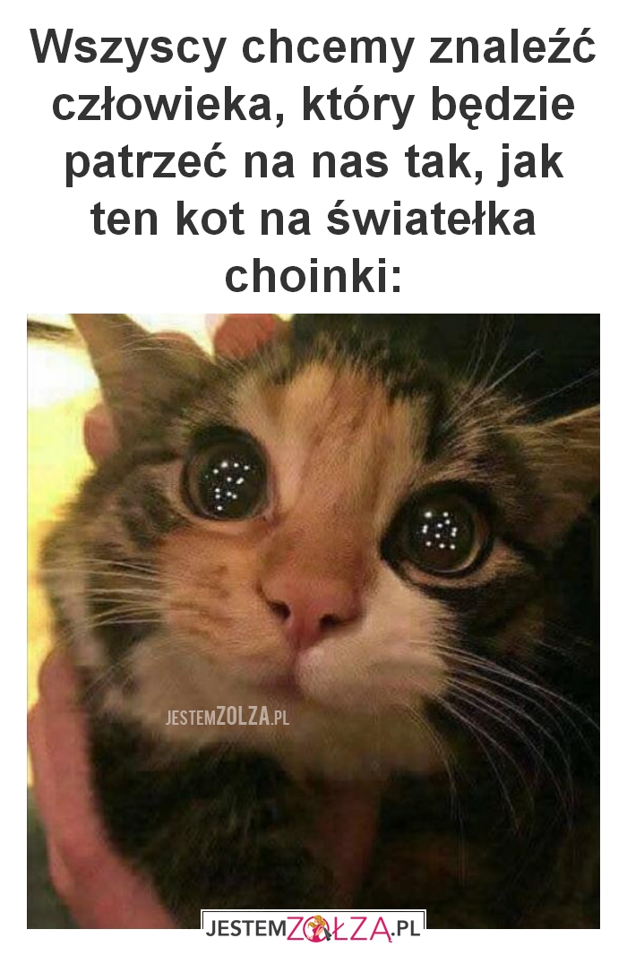 Wszyscy chcemy 