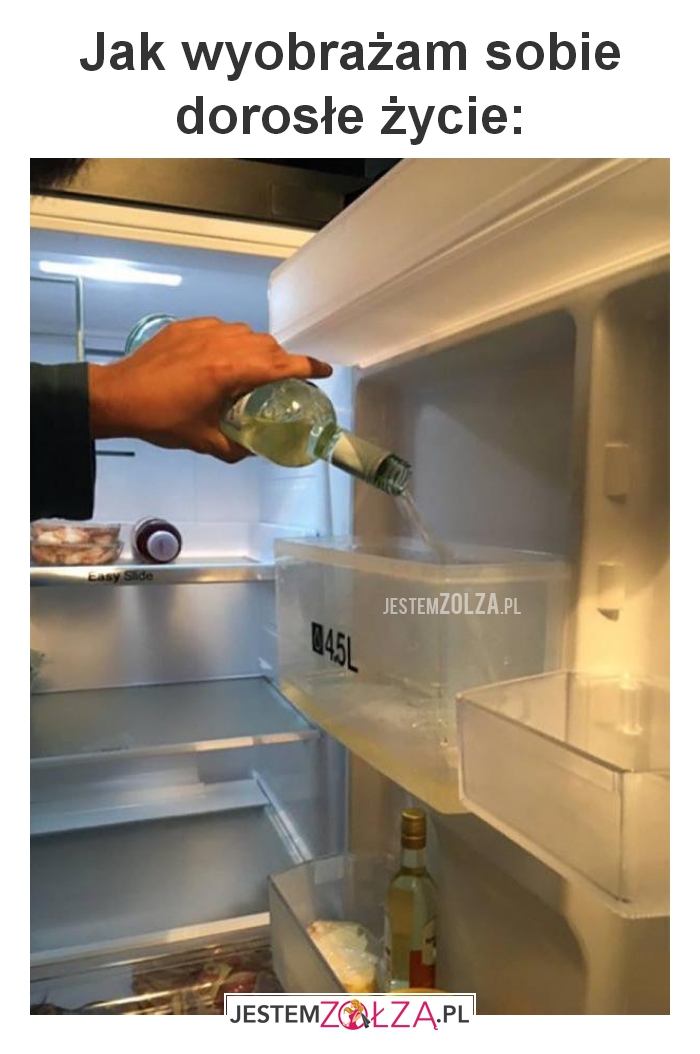 Jak wyobrażam 