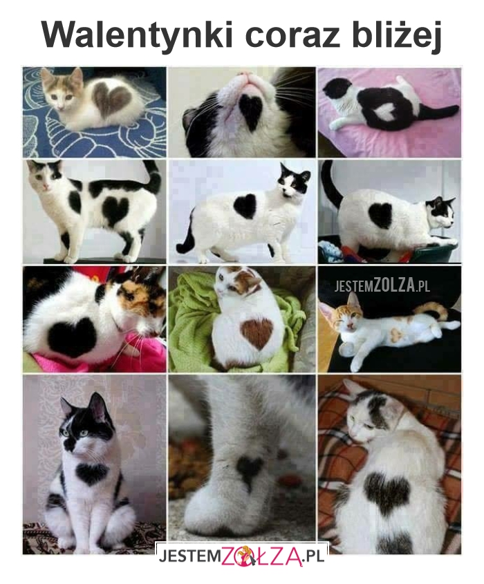 <3