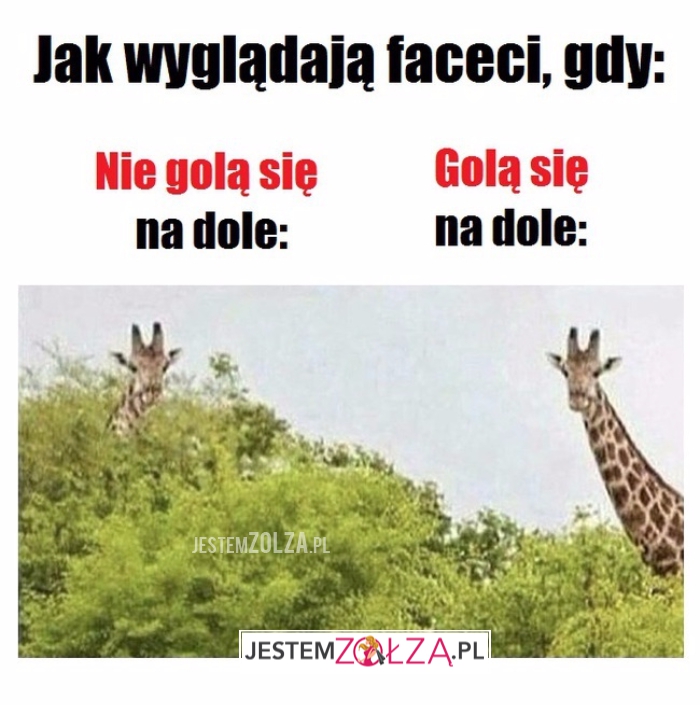 Golenie...