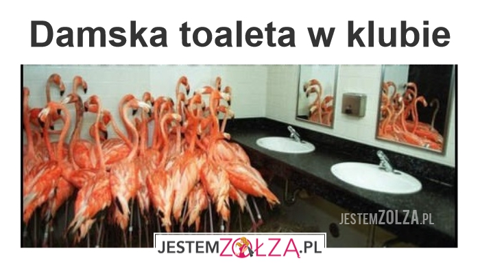 Toaleta