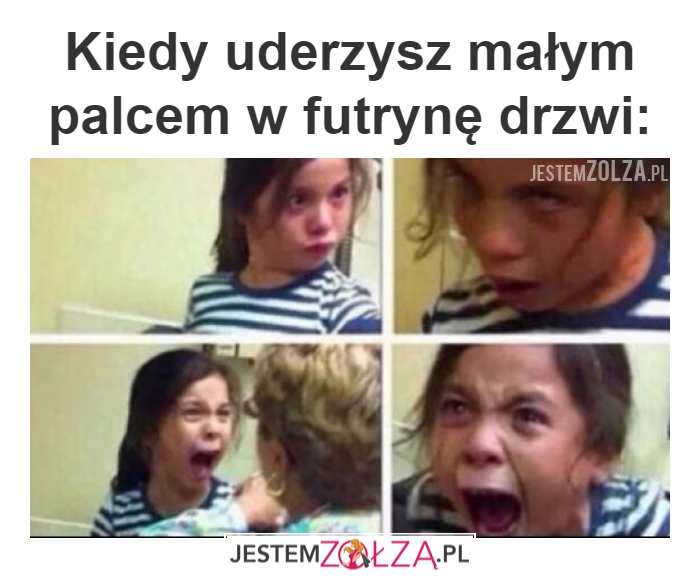Futryna...