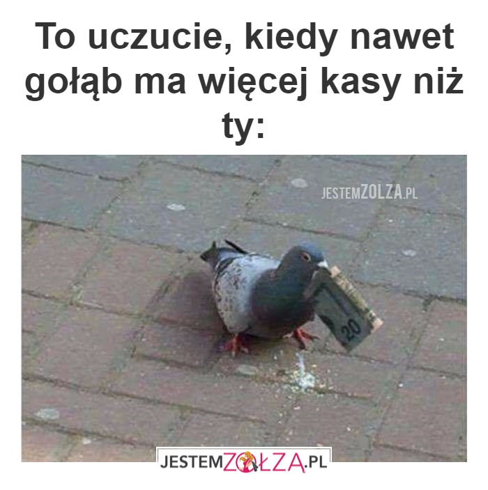 Pieniądze