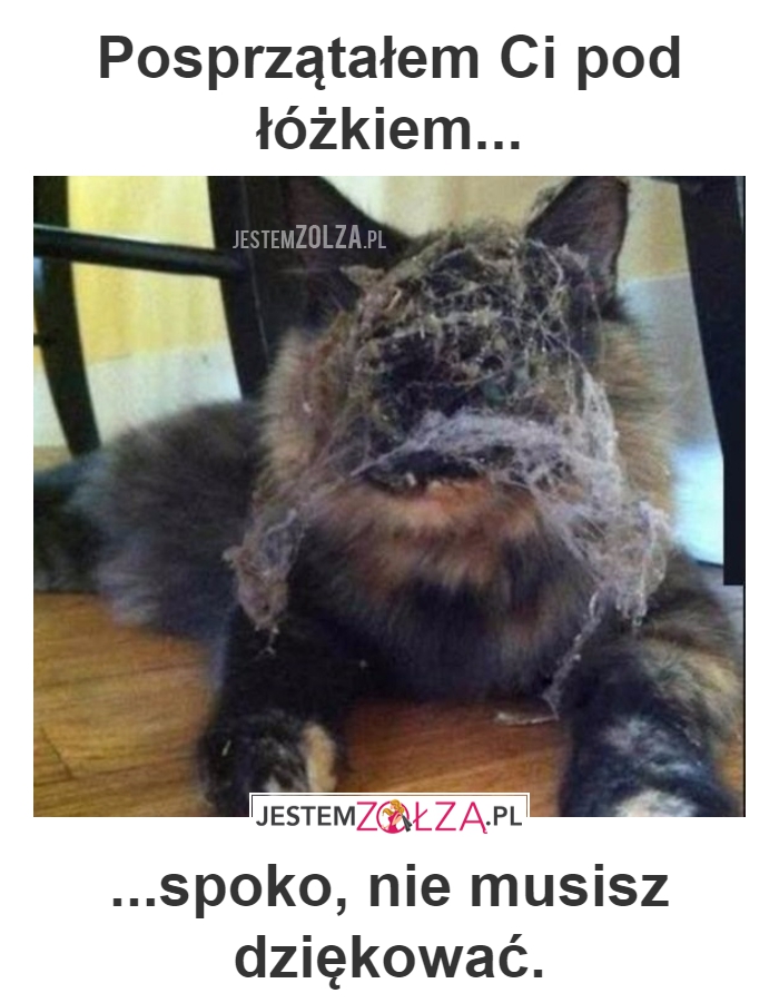 Sprzątanie