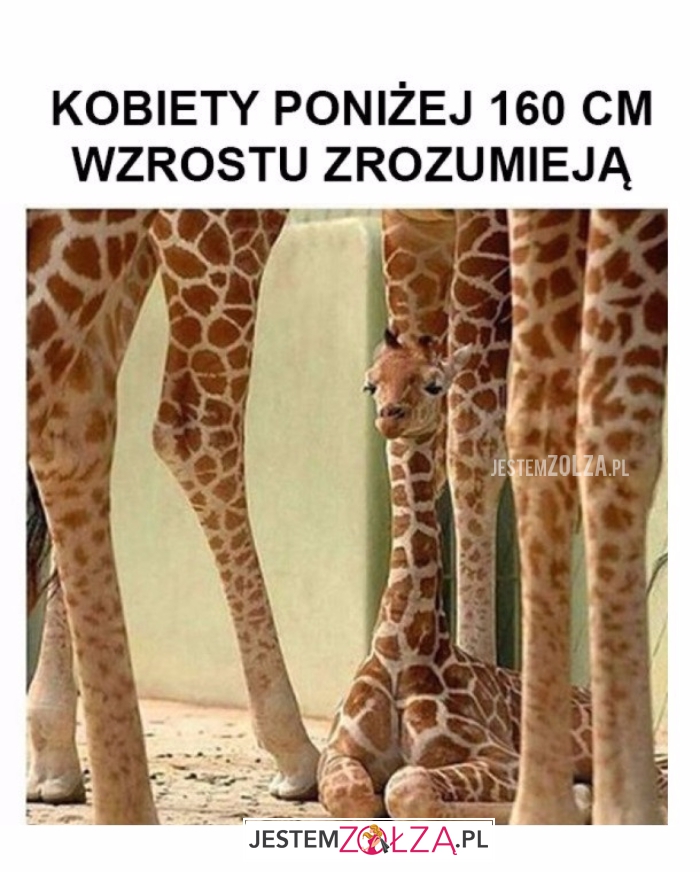 Kobiety poniżej 160cm