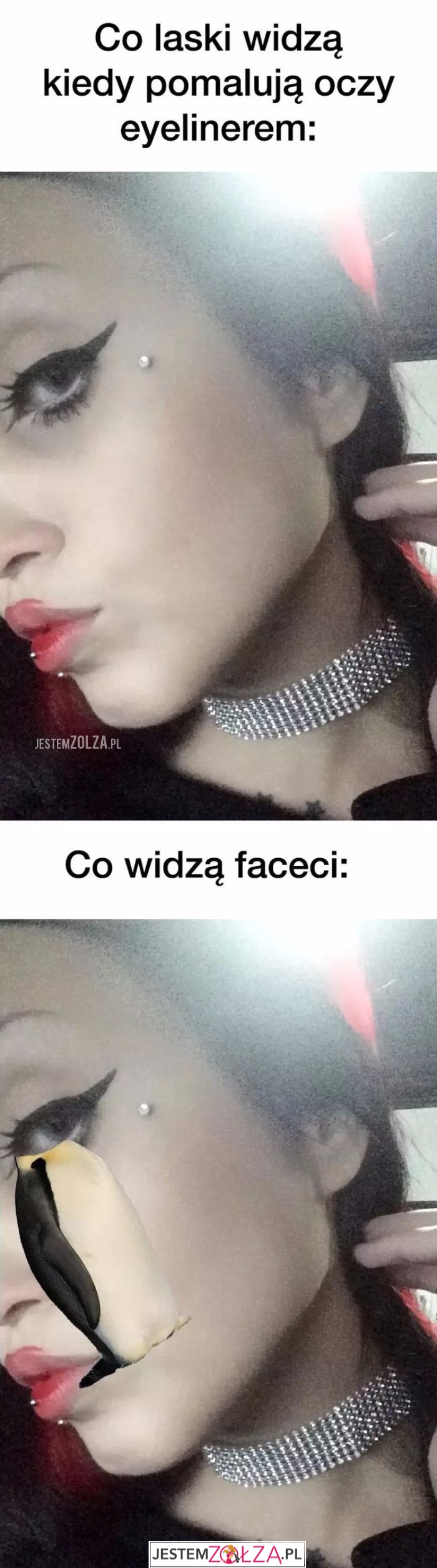 Co laskie widzą...