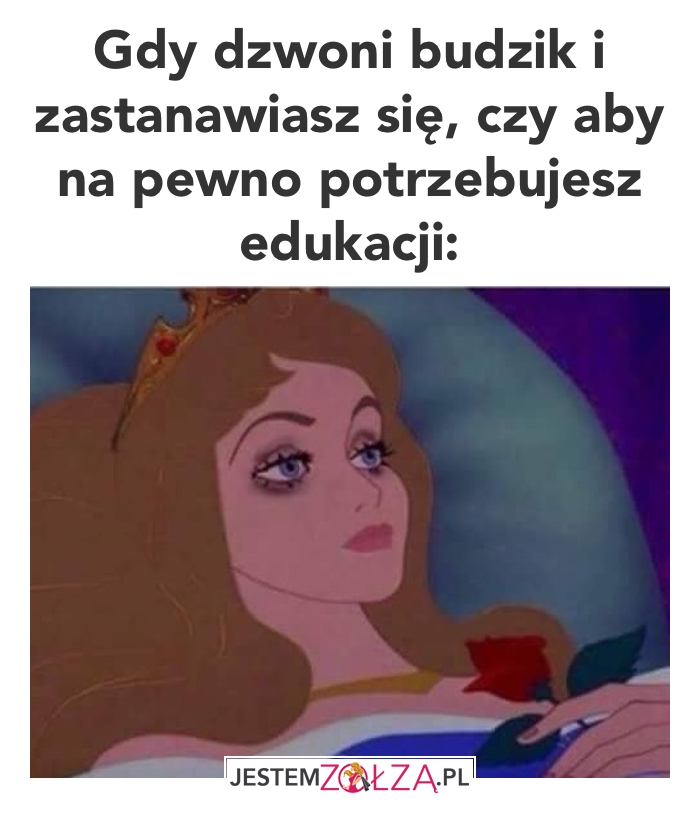 budzik