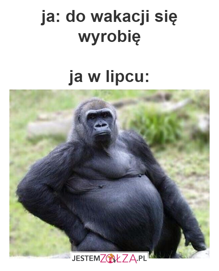 do wakacji