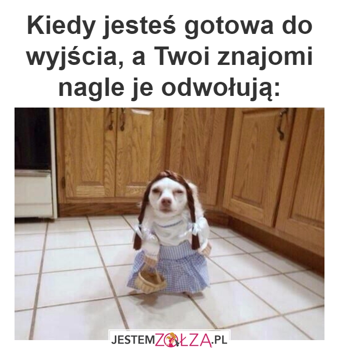 kiedy znajomi..