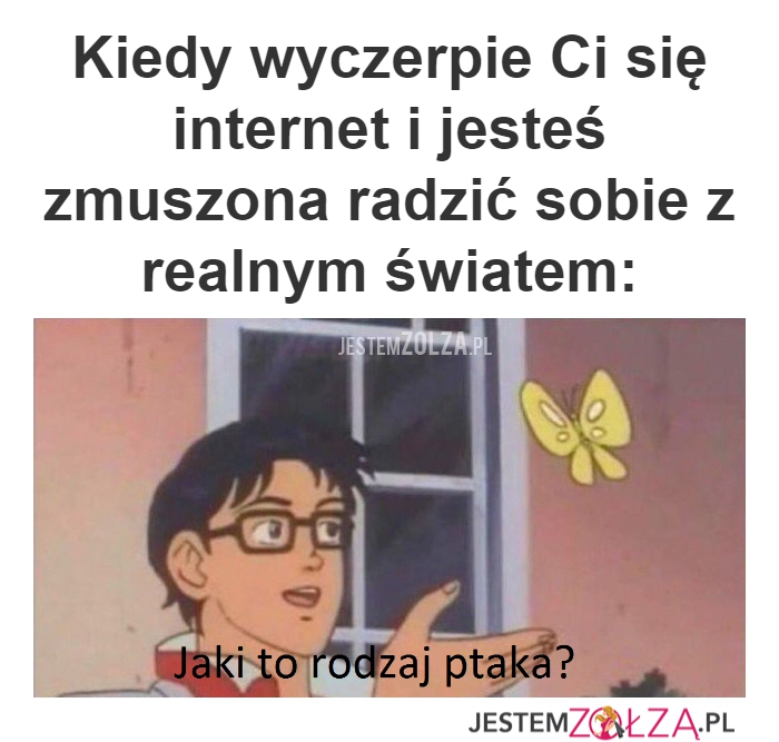 Kiedy...
