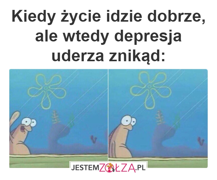 Typowe...