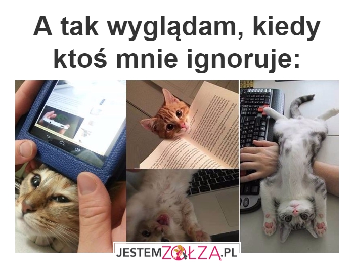 Ja