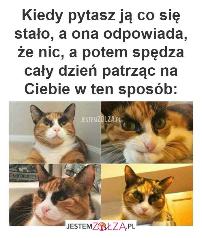 Nic mi nie jest