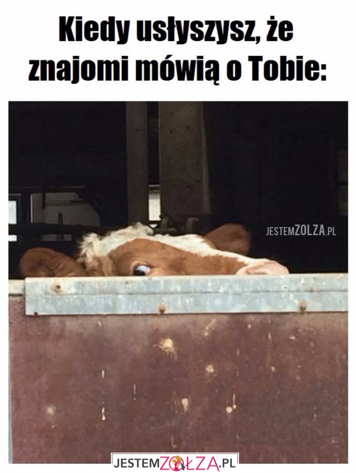 Kiedy usłyszysz...