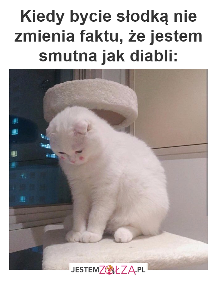 I co teraz?