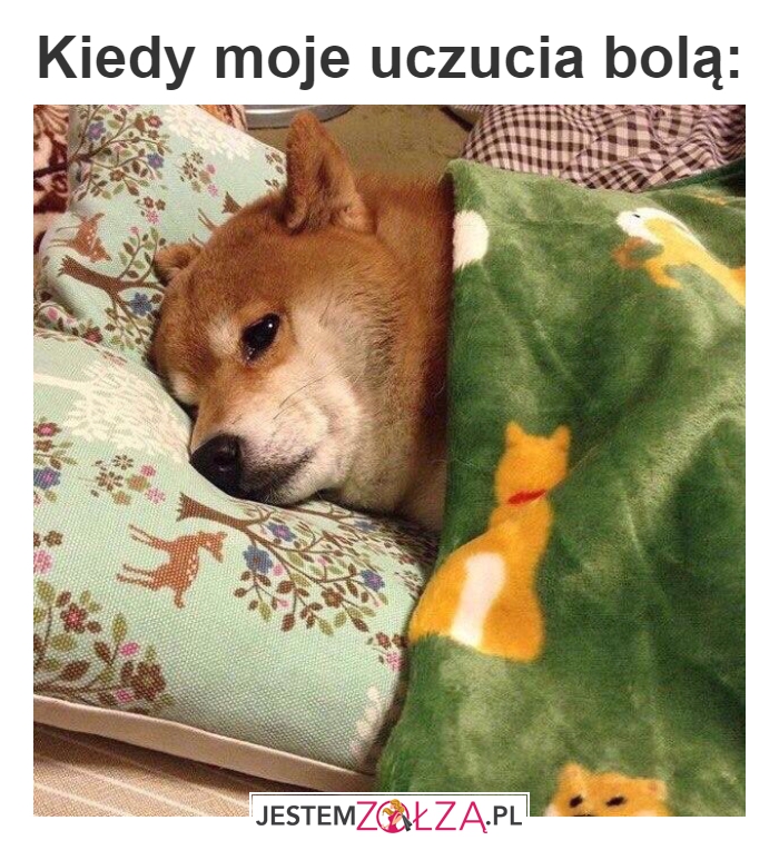 Boli...