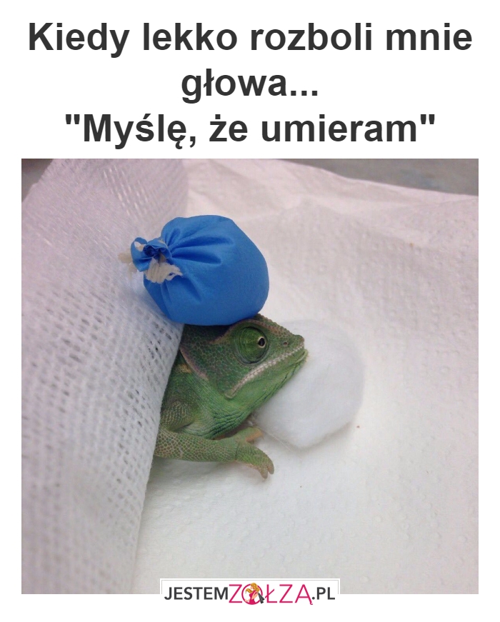 Umieram?