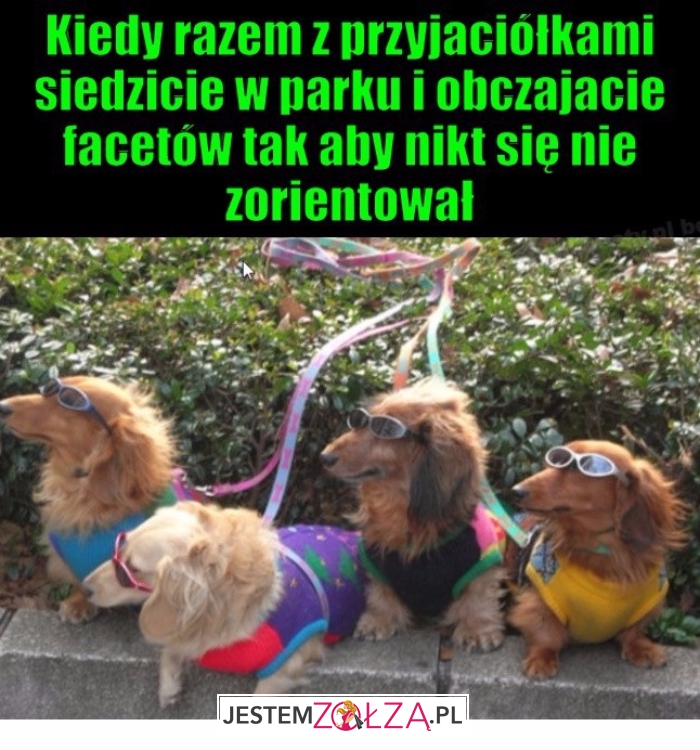 Kiedy razem