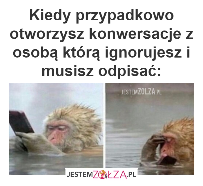 konwersacja