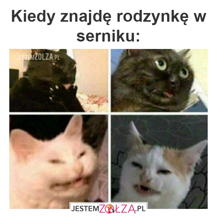 rodzynki