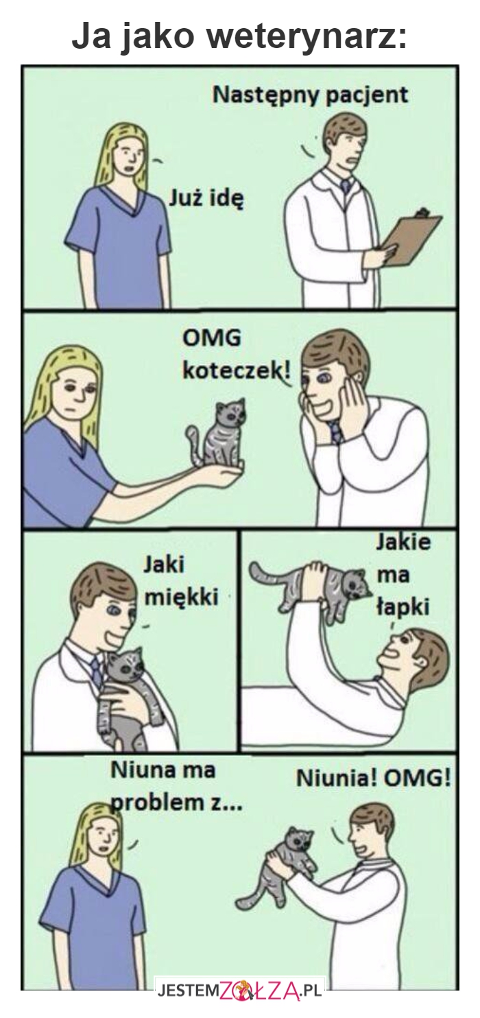 weterynarz