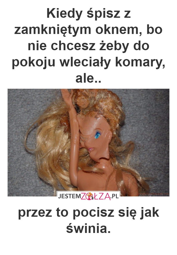 komary