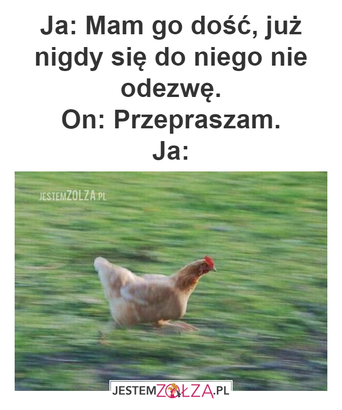 kłotnia