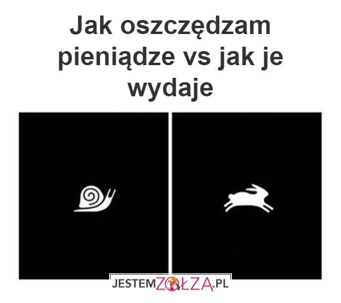 pieniądze