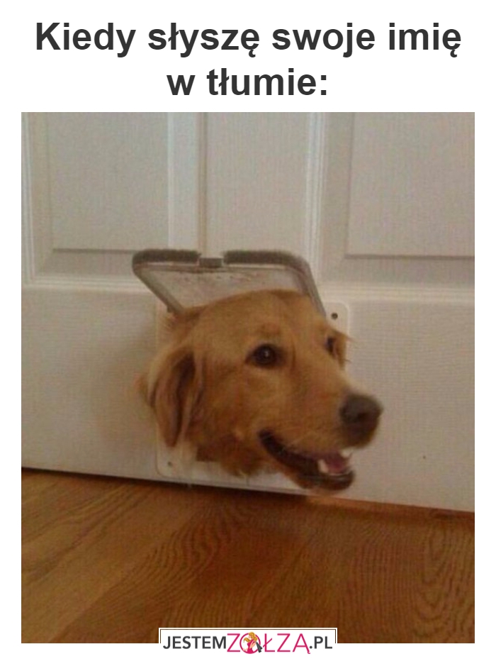 swoje imię