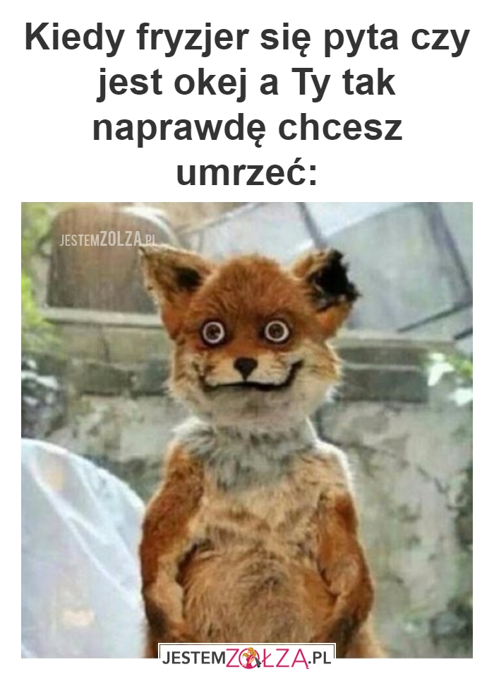 jest okej?