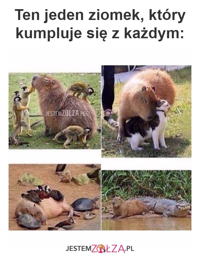 Ten jeden ziomek...