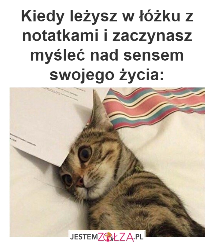 Jaki jest sens?