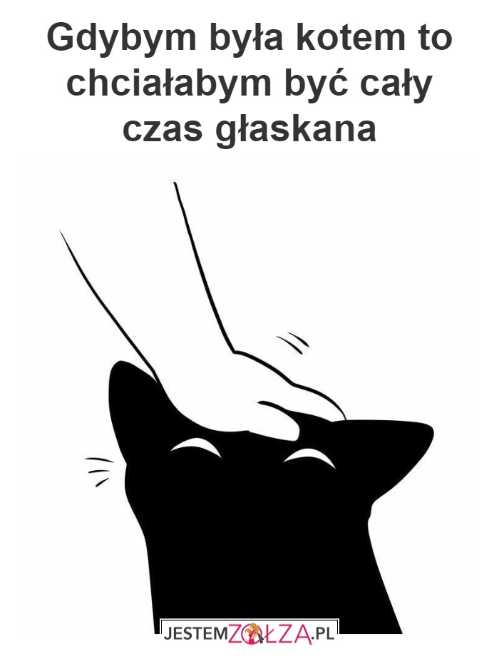Kot to ja