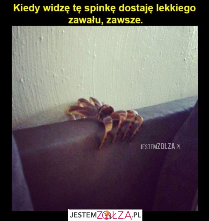 Spinka...