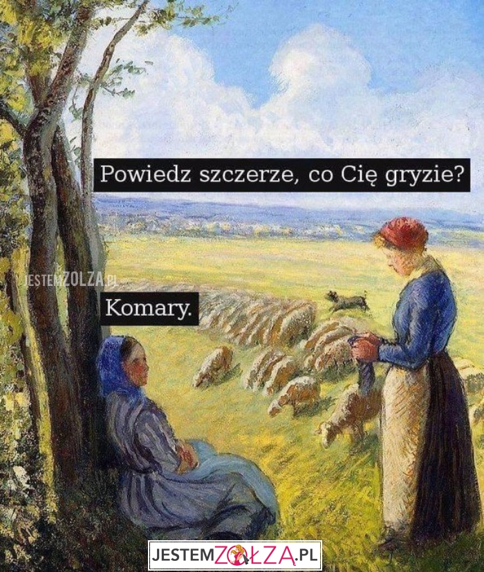 Powiedz szczerze...